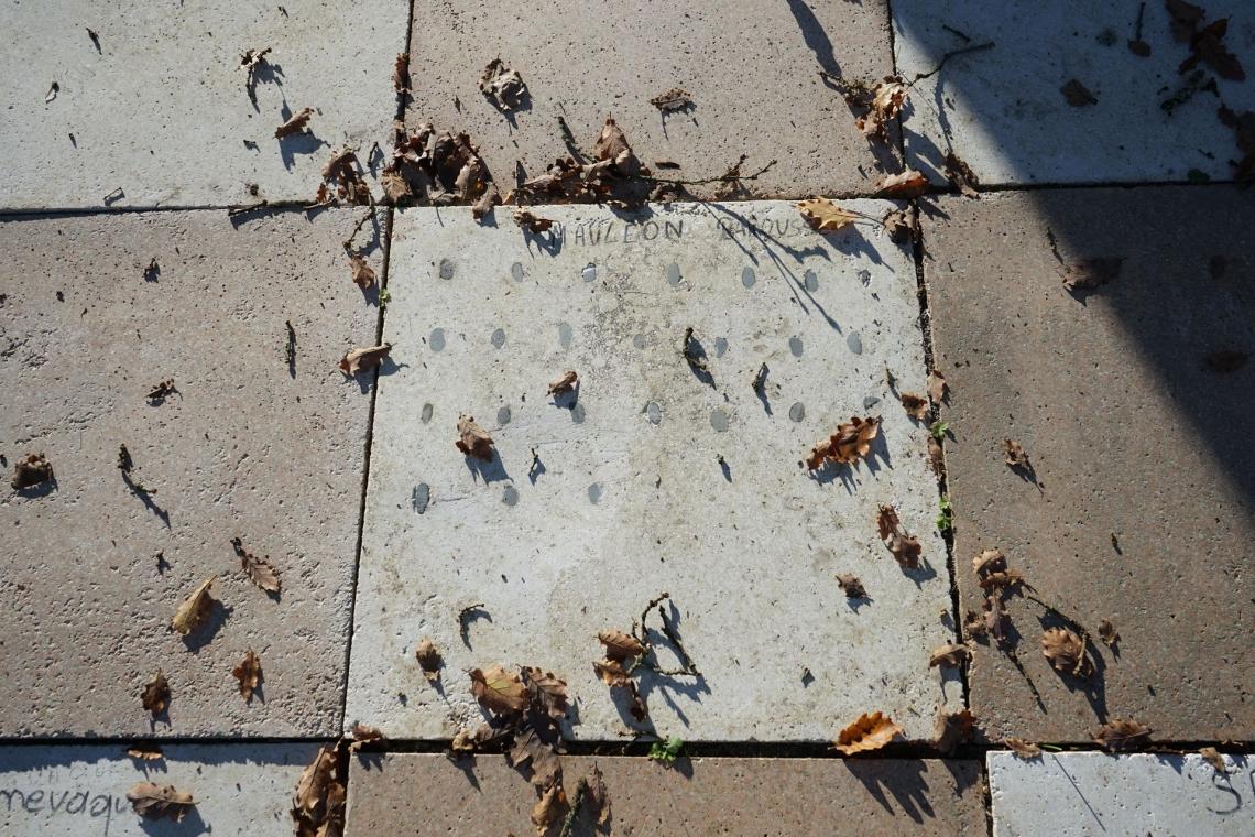 Déjà le feuilles mortes recouvrent les dalles Déjà le feuilles mortes recouvrent les dalles