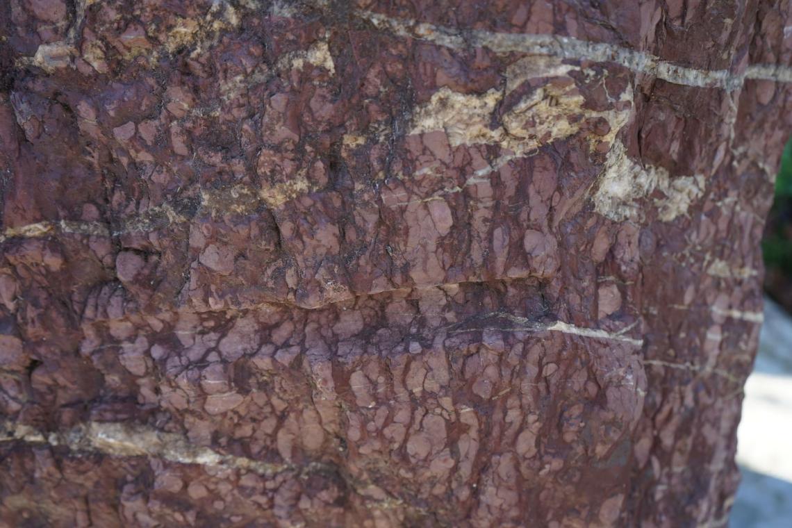 La griotte rouge, traces de barre à mine La griotte rouge, traces de barre à mine