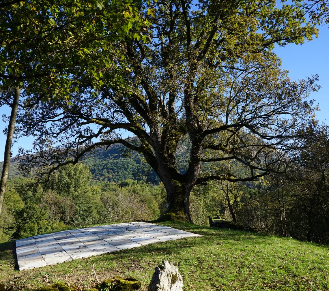 Un chêne remarquable couvre de son ombre l'échiquier minéral Un chêne remarquable couvre de son ombre l'échiquier minéral